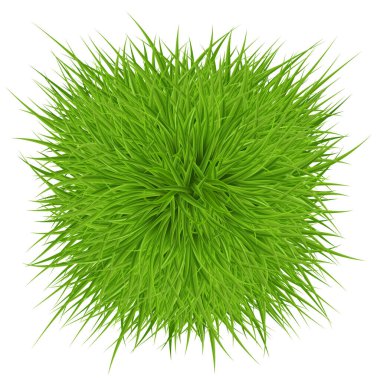 Yeşil Çimen Elemanı, Ekoloji ve Temiz Enerji Simgesi. Beyaz üzerine Doğal Ürünler İçin Çevreye Dost Olarak Biçilen Element