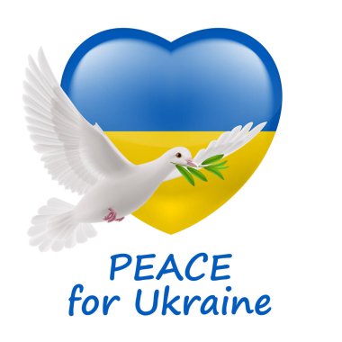 Yeşil zeytin dallı Beyaz Barış Güvercini ve Kalp şeklinde Ukrayna Bayrağı. Ukrayna 'da Barış İçin Dua Et İllüzyonu. Beyaz Arkaplanda Barış ve Özgürlük Sembolü