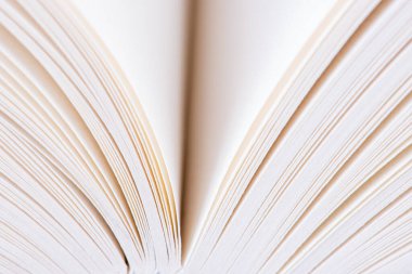 Macro view of opened book pages