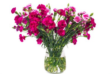 Red carnations bouquet in vase isolated on white backgrounds