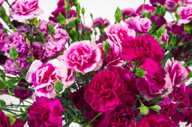 Red carnations bouquet close-up