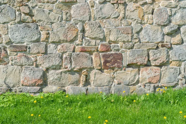 Stone Wall Background Green Grass — Stock Photo, Image