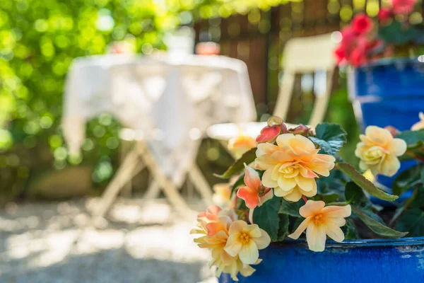 Flores Florescendo Com Café Bistro Verão Jardim Ensolarado Fundo — Fotografia de Stock