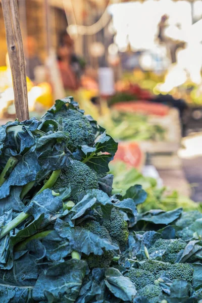 Brokkoli Rabe Utcai Élelmiszerpiacon Ballaro Palermo Szicília Homályos Hátterű Zöldségtartó — Stock Fotó