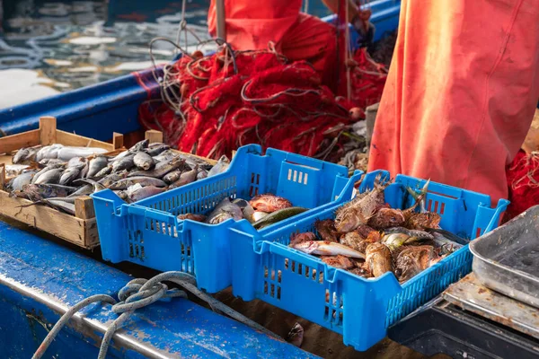 Penjualan Ikan Dari Kapal Nelayan Kecil Pasar Ikan Trapani Sisilia — Stok Foto