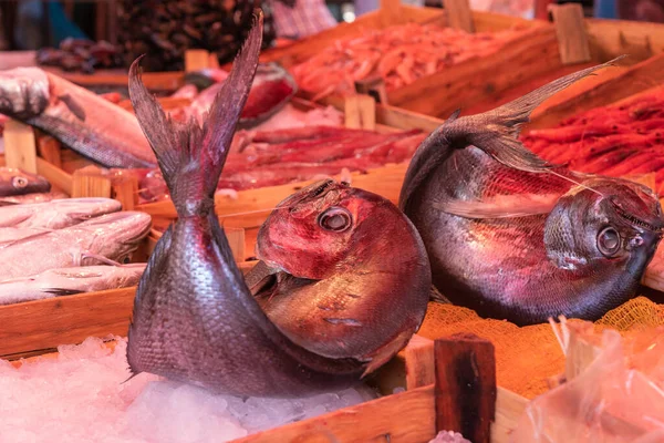 Рыбы Льду Продажи Меркато Капо Уличный Рынок Палермо — стоковое фото