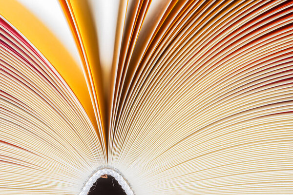 Macro view the edge of open book pages