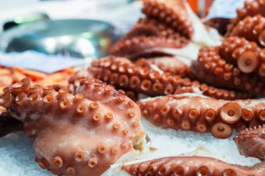 Taze ahtapotlar yiyecek pazarındaki deniz ürünleri tezgahında buzun üzerine serilmişler.