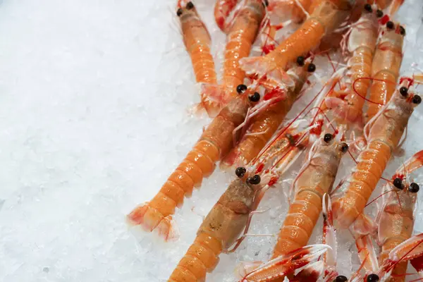 Taze karides, yerel gıda pazarındaki deniz ürünleri tezgahında buzun üzerinde duruyor.