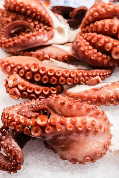 Taze ahtapotlar yiyecek pazarındaki deniz ürünleri tezgahında buzun üzerine serilmişler.