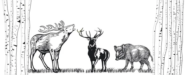 Deer Wild Boar Meadow Illustration — Stock Vector