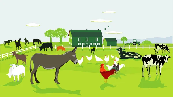 Přátelské Farmaření Osly Krávami Slepicemi Ilustrace — Stock fotografie