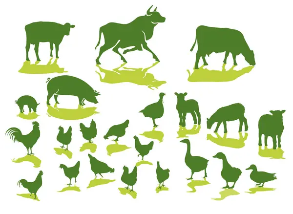 牧场上的家畜 — 图库矢量图片