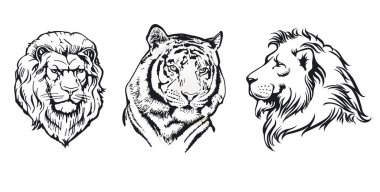 Aslan ve kaplan kafaları kesme, illüstrasyon