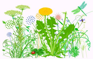 Bitkiler, bitkiler ve çiçek çayırı, illüstrasyon