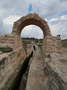Nahal Taninim Doğa Rezervi. Tanemin Nehri 'nin aktığı doğa ve tarihi birleştiren bir doğa rezervi.