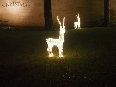 Noel hayvan figürlerinin bayramı için parkta şenlikli aydınlanma