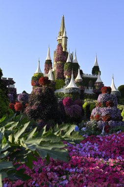 Dubai Miracle Garden United Arab Emirates.