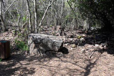 Nehir veriliyor. Ürdün Nehri 'nin İsrail' in kuzeyindeki rezerv Tel Dan 'deki kollarından biri.