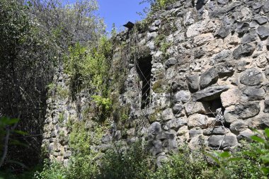 Nehir veriliyor. Ürdün Nehri 'nin İsrail' in kuzeyindeki rezerv Tel Dan 'deki kollarından biri.