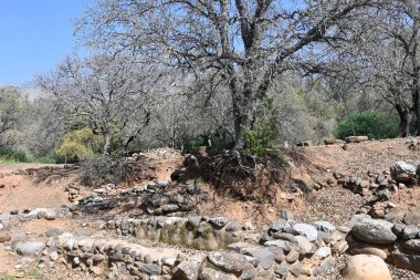 Nehir veriliyor. Ürdün Nehri 'nin İsrail' in kuzeyindeki rezerv Tel Dan 'deki kollarından biri.