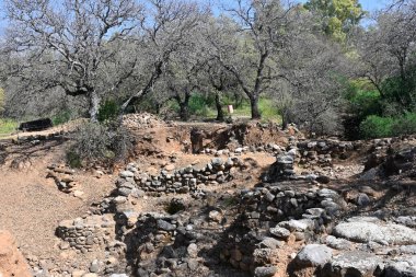 Tel Dane Doğa Koruma Alanı, Ürdün Nehri 'nin büyük bir kolu olan Dan Stream Nehri' nin ve beş bin yıllık bir şehrin kalıntılarının yuvasıdır.