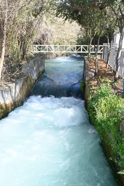 Strömmen Given Bifloderna Till Jordanfloden Reserven Tel Dan Norra Israel — Stockfoto