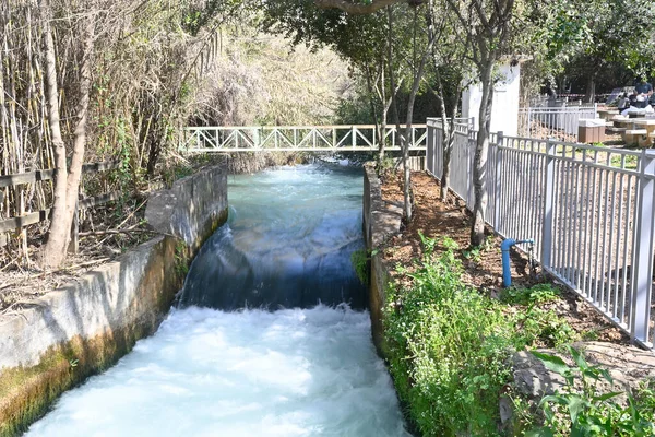 Strömmen Given Bifloderna Till Jordanfloden Reserven Tel Dan Norra Israel — Stockfoto