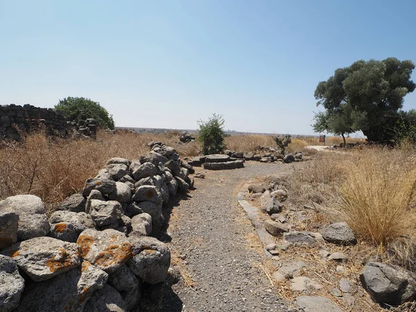 Rezerwat Przyrody Gamla Położony Centralnej Części Punktu Obserwacyjnego Golan Heights — Zdjęcie stockowe