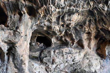 Kuzey İsrail 'deki Carmel Dağı' ndaki mağarada.