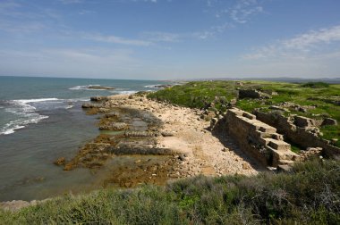 Akdeniz 'deki Tel Dor Ulusal Parkı İsrail antik ve önemli bir liman ve İncil şehri olan Dor' un kalıntıları