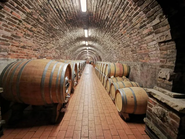 チェコ共和国の素敵な古いワインセラー — ストック写真