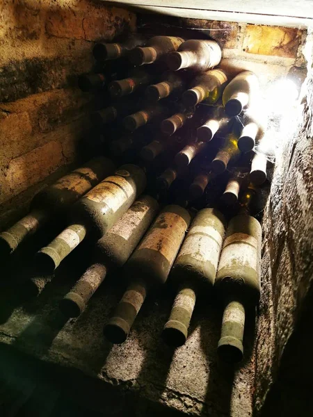 チェコ共和国の素敵な古いワインセラー — ストック写真