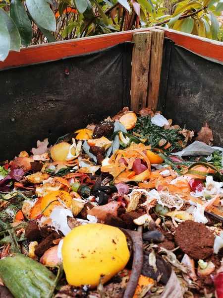 stock image natural background from composting box as nice texture