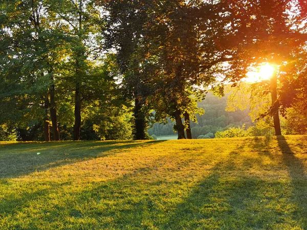 Zachód Słońca Zielonym Parku Czech — Zdjęcie stockowe