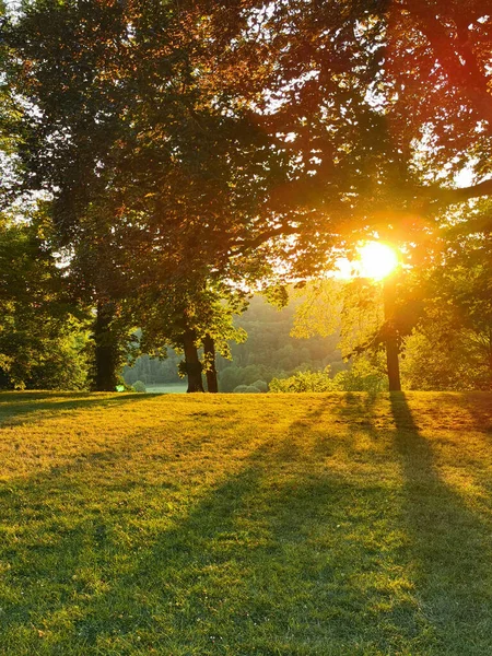 Zachód Słońca Zielonym Parku Czech — Zdjęcie stockowe