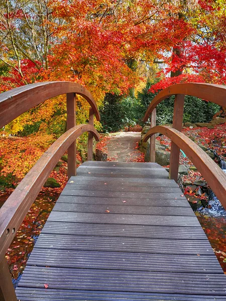 Herbst Park Mit Farbigen Blättern Als Schöner Hintergrund — Stockfoto
