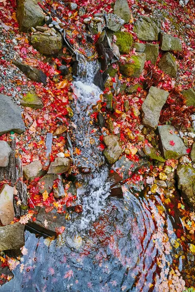 Jesienna Rzeka Parku Kolorowymi Liśćmi — Zdjęcie stockowe