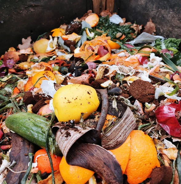 Kompost Aus Hausmüll Als Ökologischer Hintergrund Stockbild