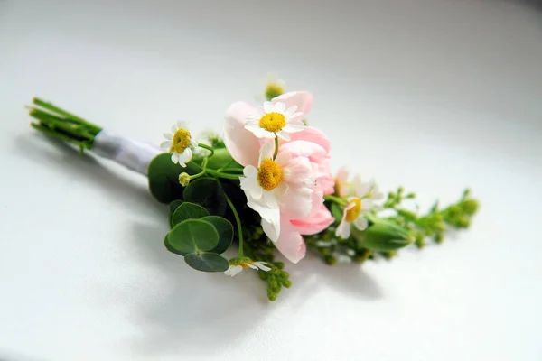 Дикие Свадебные Цветы Чешского Сада — стоковое фото