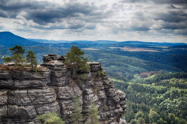 stock image forest near the pravcicka brana tourist place as nice landscape          