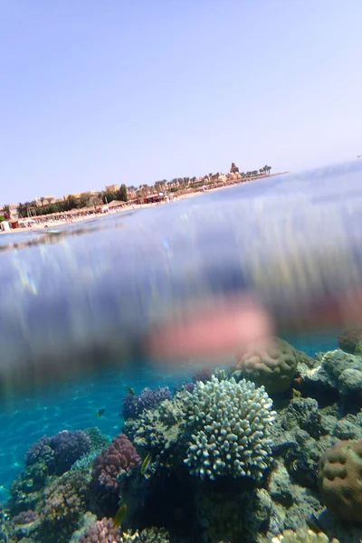 紅海からのサンゴ礁マカディ湾 — ストック写真