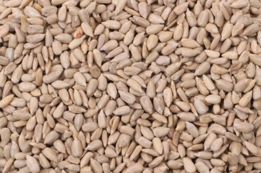 sağlıklı ayçekirdeği dokusu güzel bir arkaplan