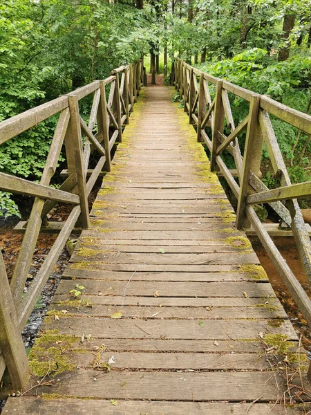 Ponte Legno Verde Molto Vecchio Nel Bosco — Foto Stock