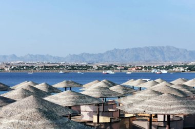 Mısır Sahili Kızıl Deniz Makadi Körfezi Sabah