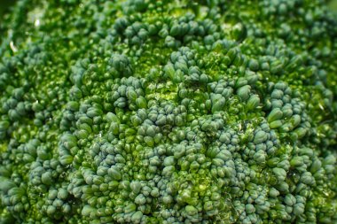 Taze brokoli sebzesi çok güzel bir yemek geçmişi var.