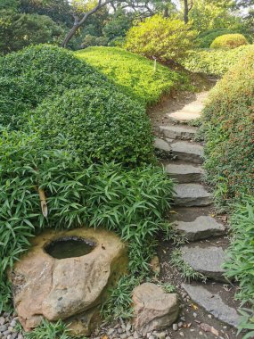 Çekoslovakya 'daki güzel yeşil bahar bahçesi.