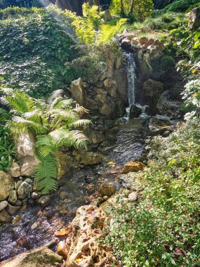 Çekoslovakya 'daki güzel yeşil bahar bahçesi.