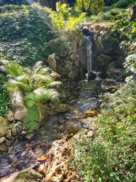 Çekoslovakya 'daki güzel yeşil bahar bahçesi.