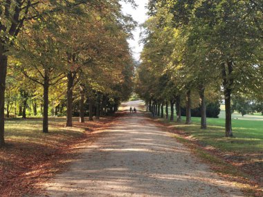 Eski parktaki yol güzel bir sonbahar arkaplanı.